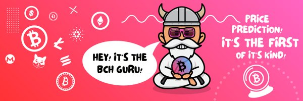 BCH_Guru Profile Banner