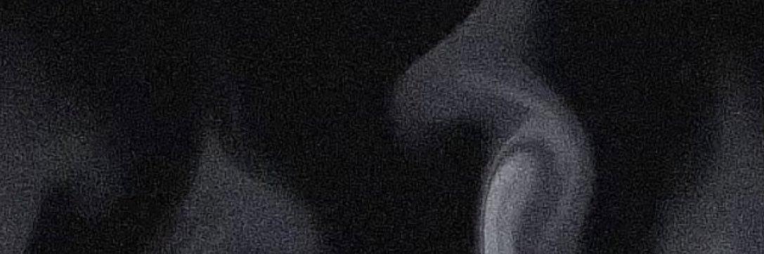 ski. banner