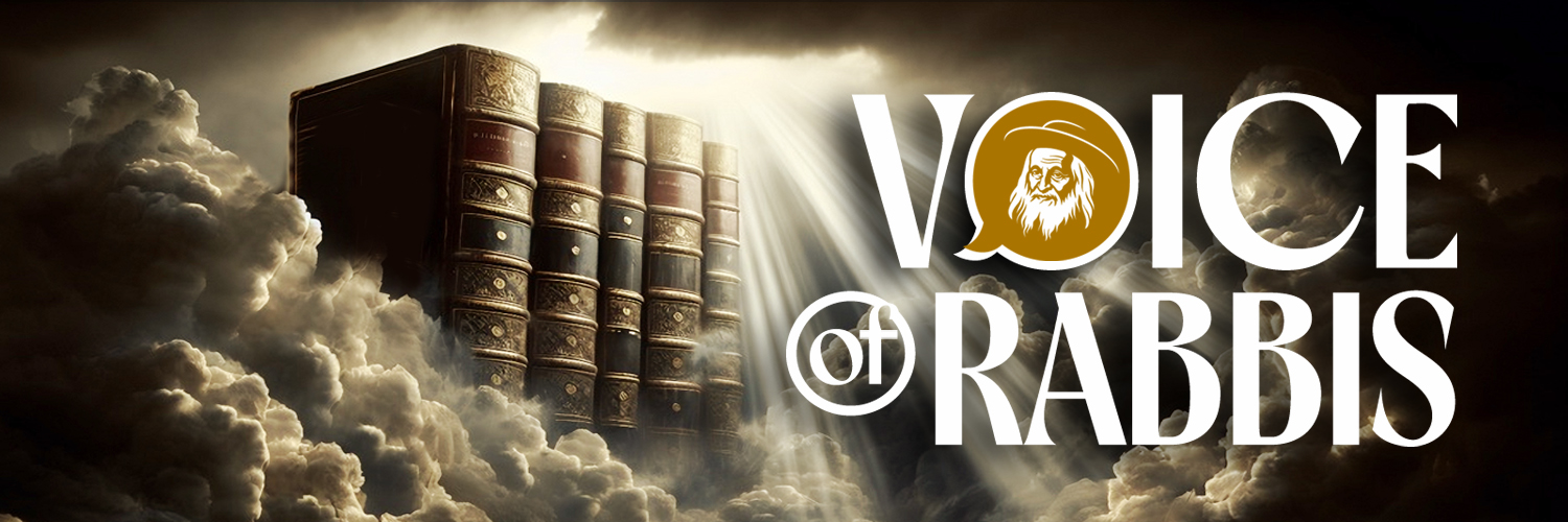 Voice of Rabbis's banner
