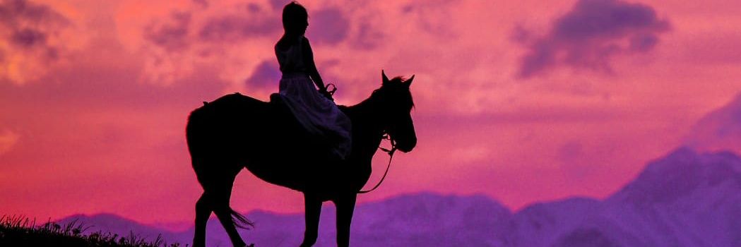 romiarmon1's profile banner image