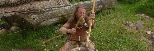 Werner Pfeifer banner