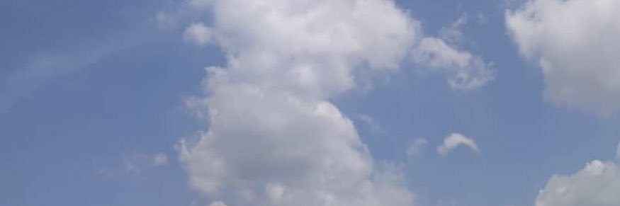 p banner