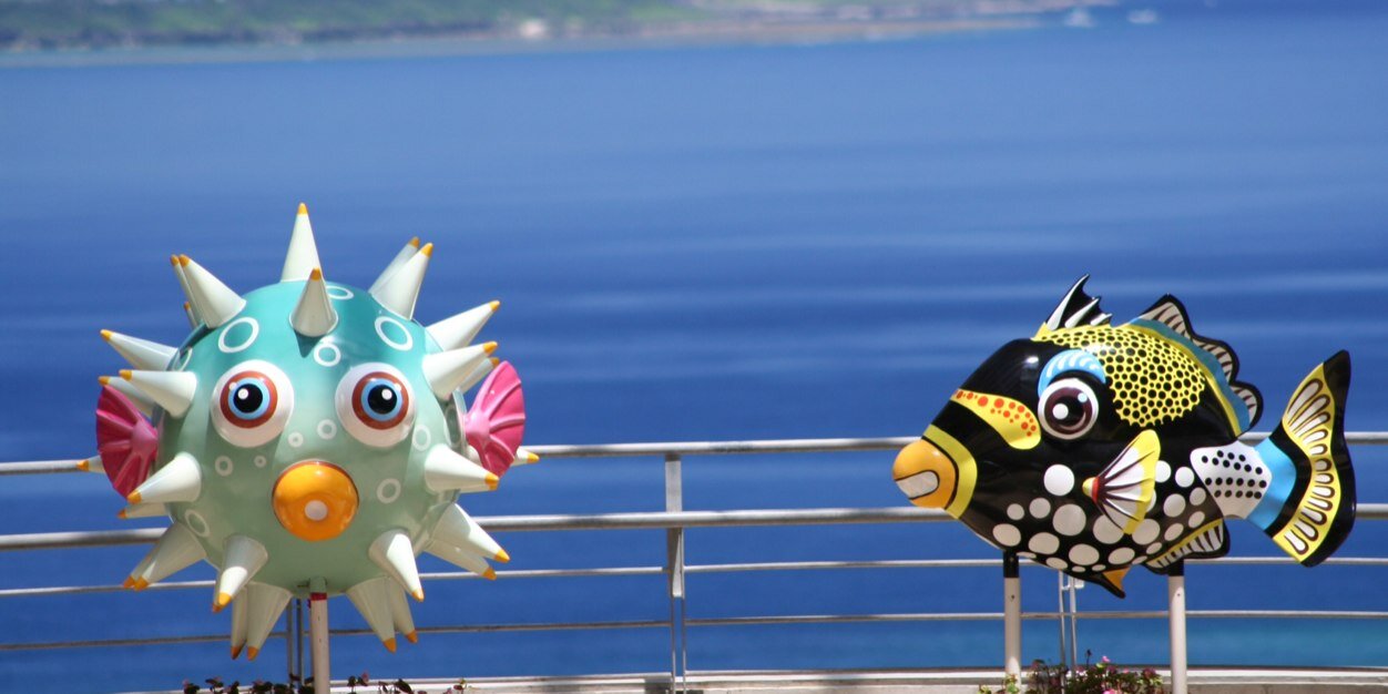 curl5120's profile banner image