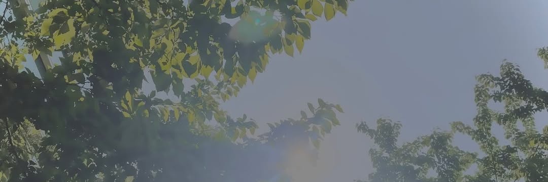 hyuckhaechi's profile banner image