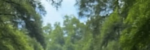 junvart_'s profile banner image