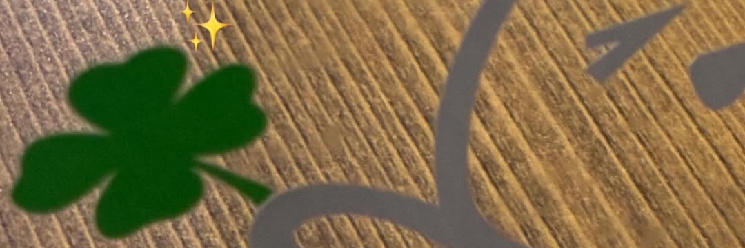 yuxin˖ . 𝜗𝜚. ₊🍀 banner