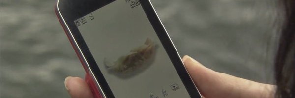 tanyoei Profile Banner