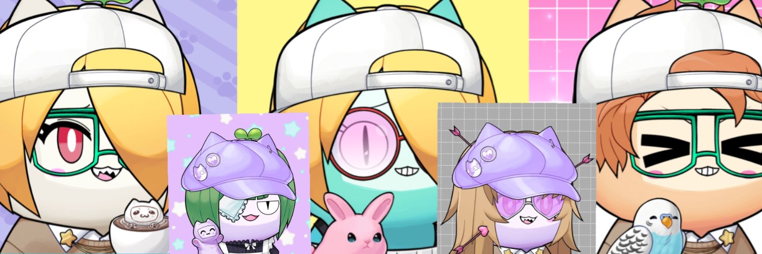 aky cats banner