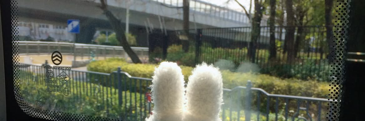 / banner