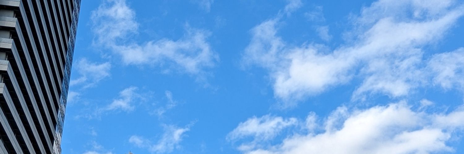 ほわいと☔🐈‍⬛ banner