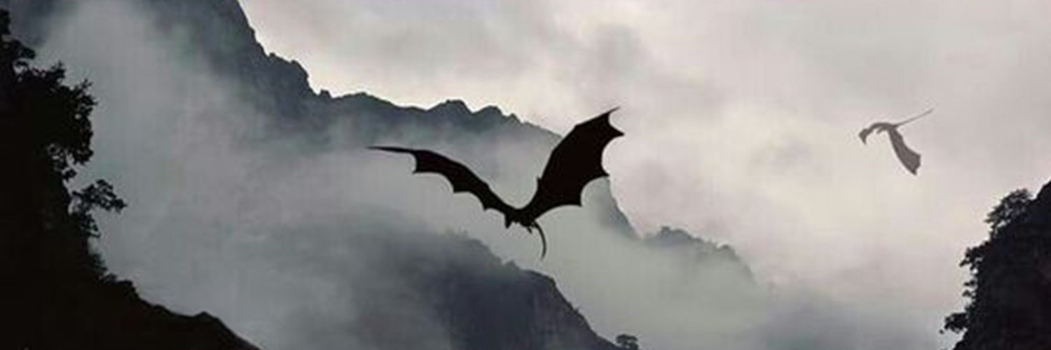 merlinsmaglc's profile banner image