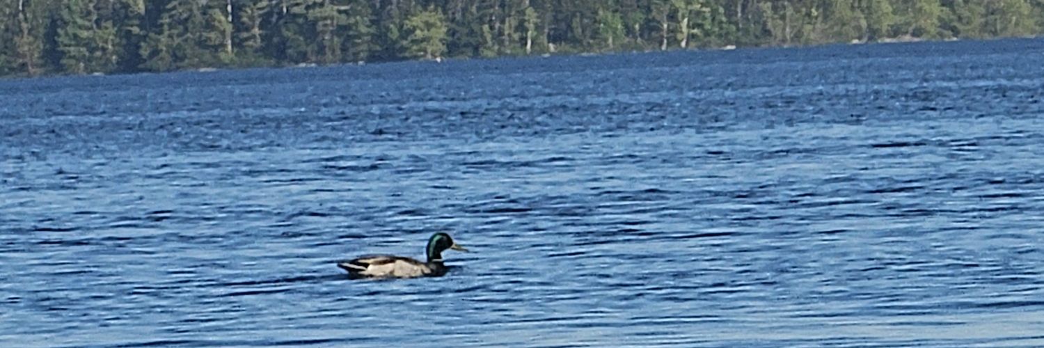 kylechase04's profile banner image