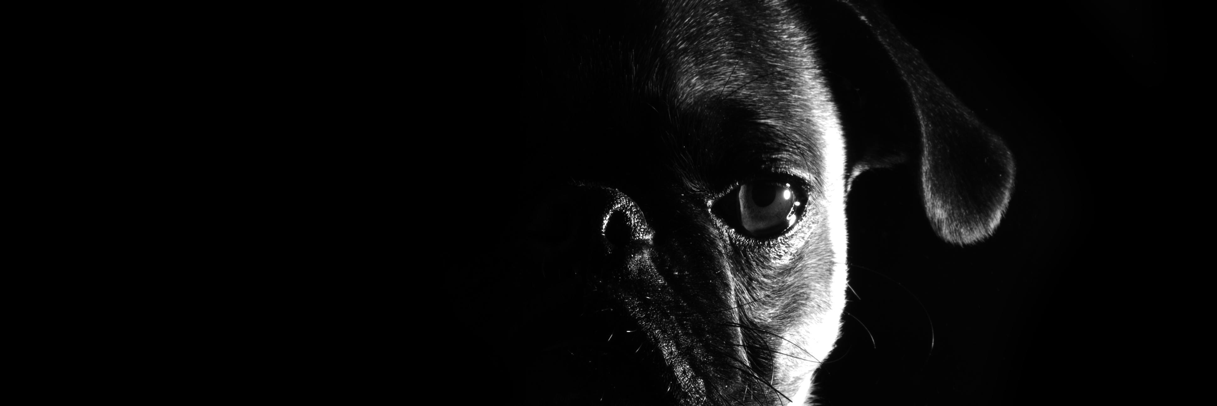 felipededios's profile banner image