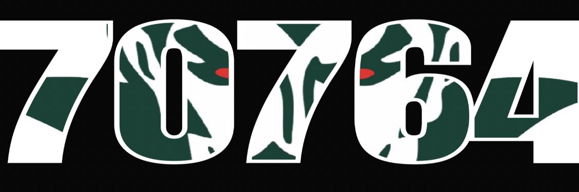 Plaquemine High Football banner