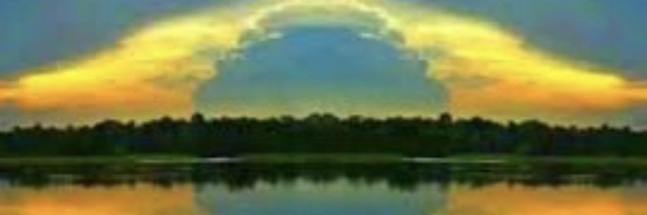 quonscientesse banner