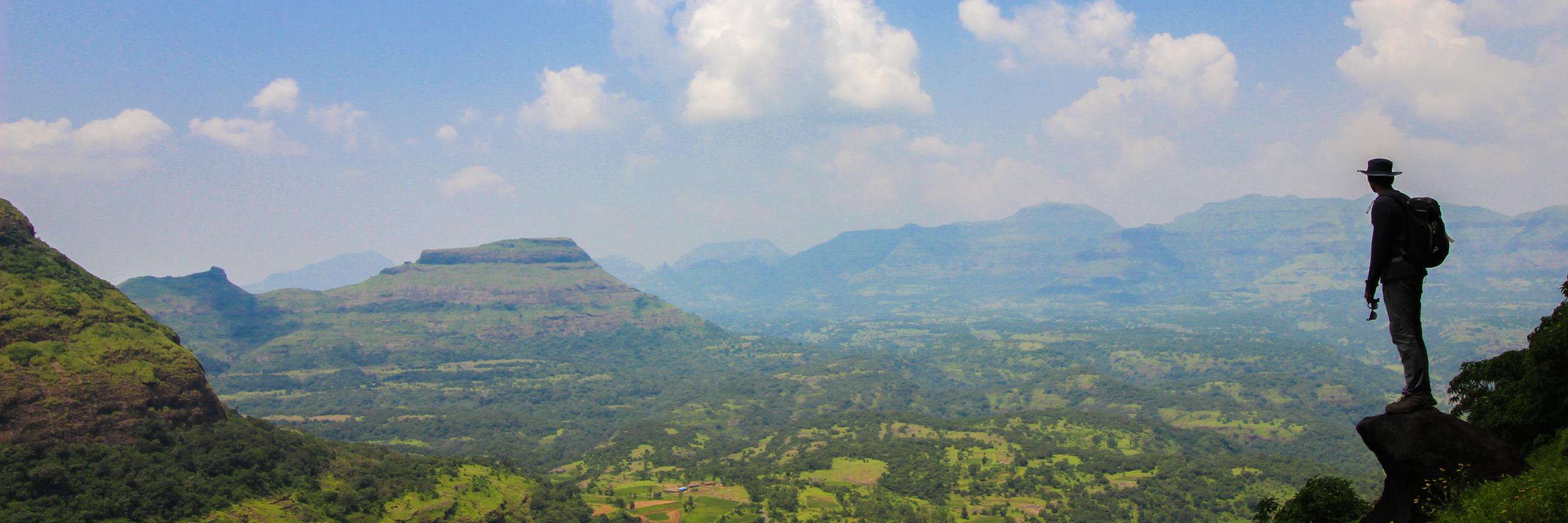 aberrantwander's profile banner image