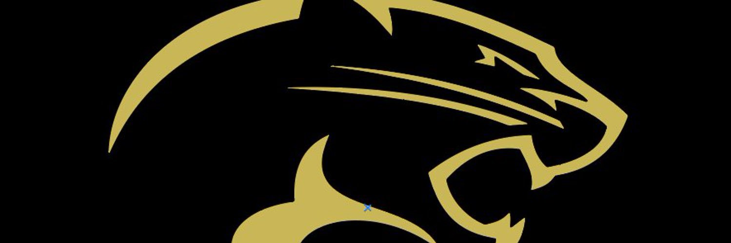 Kam Williams banner