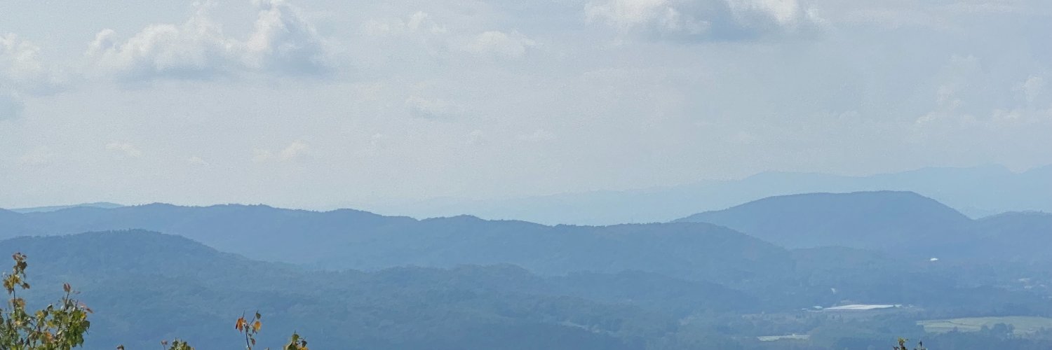 BearyDonaldB's profile banner image