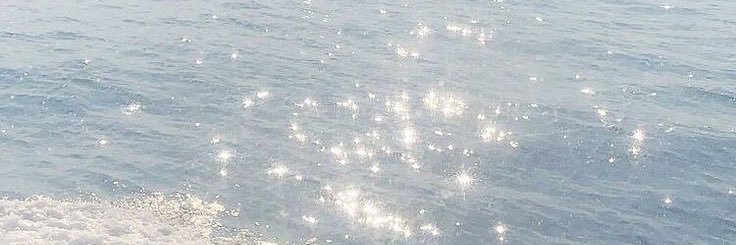 ⋆˚࿔ deer 𝜗𝜚˚⋆ banner