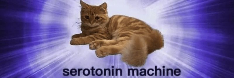 TigerSins's profile banner image