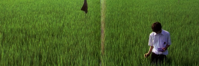 lanasboifrend's profile banner image