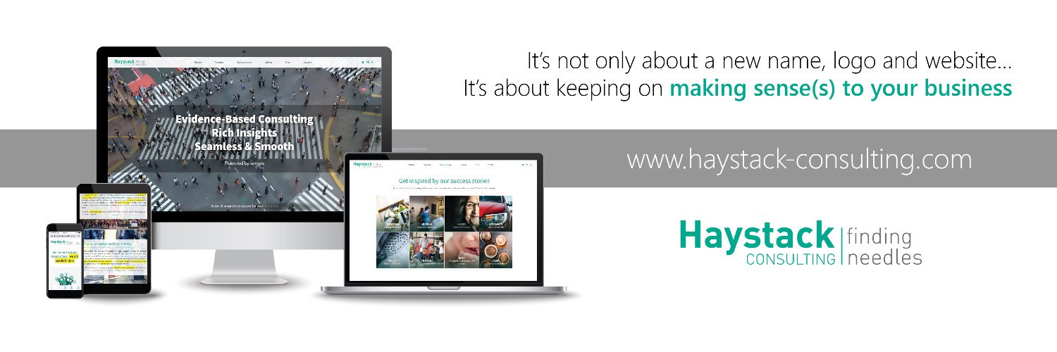 Haystack Consulting banner