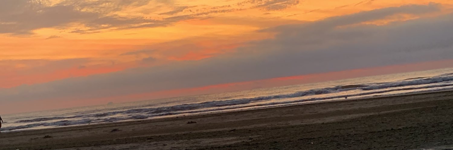 Campestriini_'s profile banner image