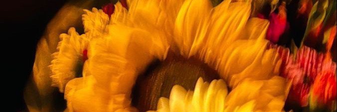 yourefullymine's profile banner image