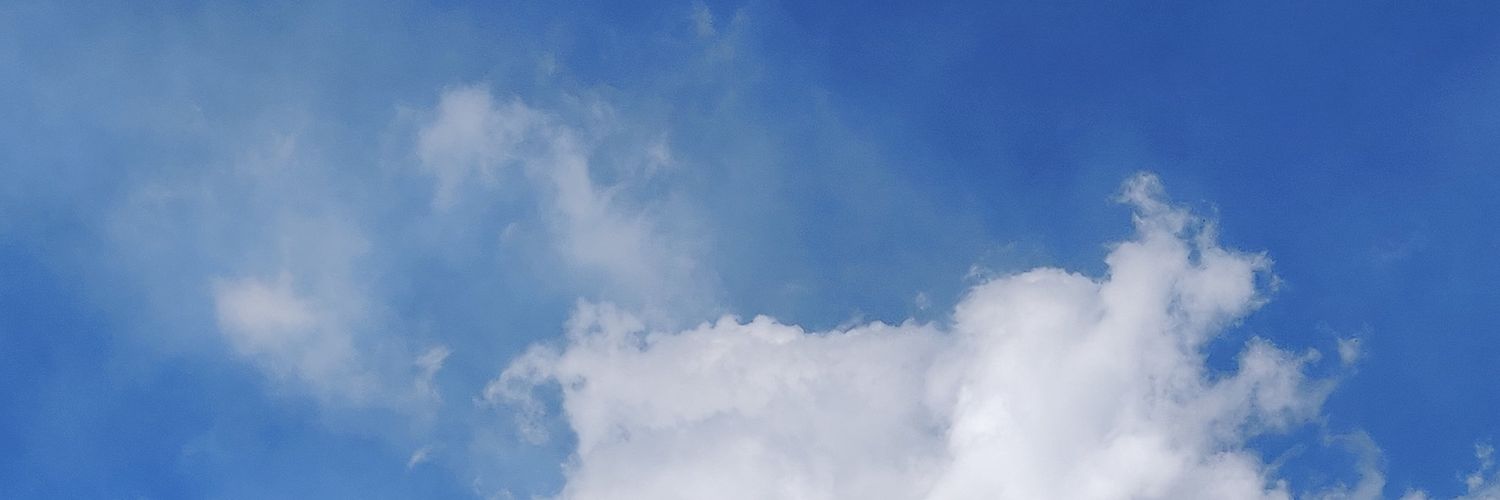 Claudia Pollina banner