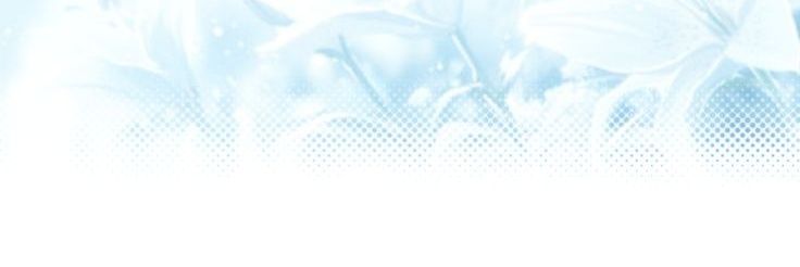 Lulubabiy's profile banner image