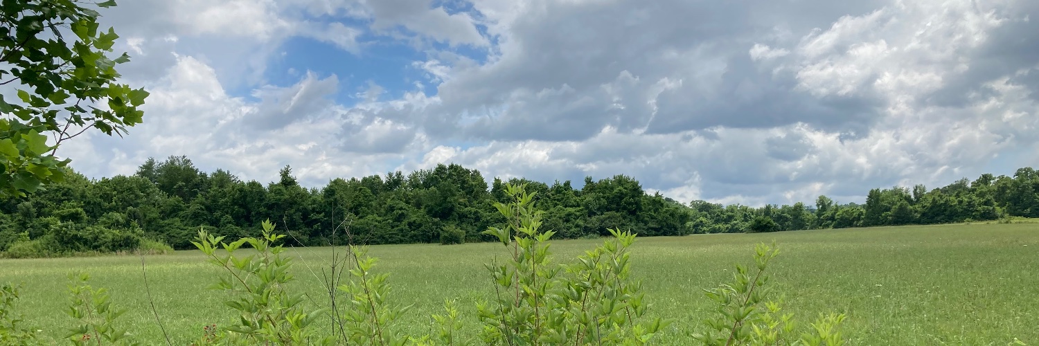 etimerding's profile banner image