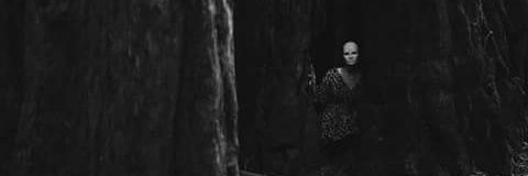 Kattloray's profile banner image