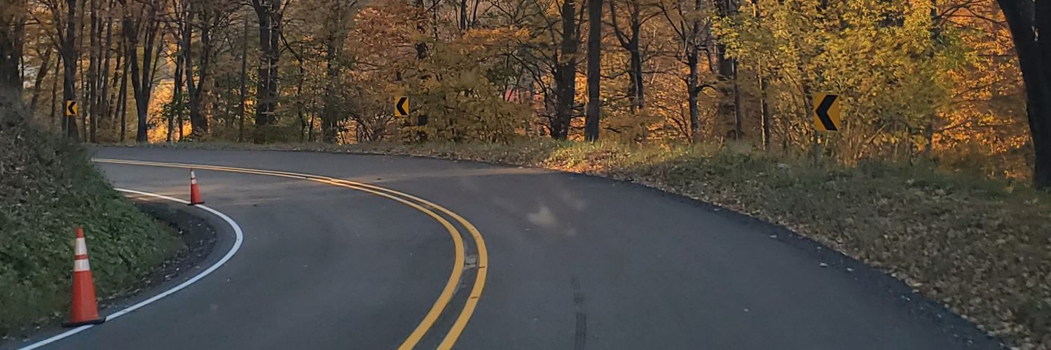 sunflower2499's profile banner image