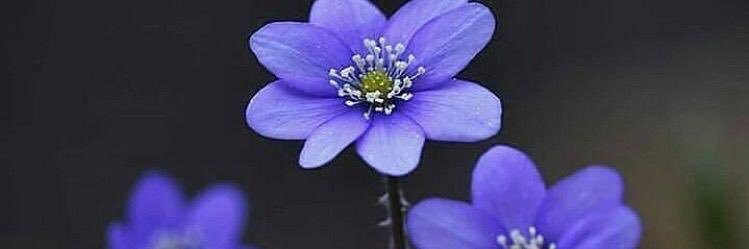 najla_arslan's profile banner image