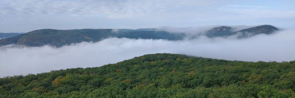 chiemps Profile Banner