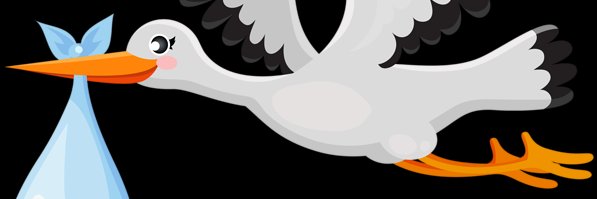 More Births's banner