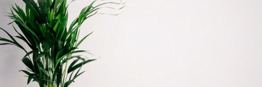 Barbara47416111's profile banner image