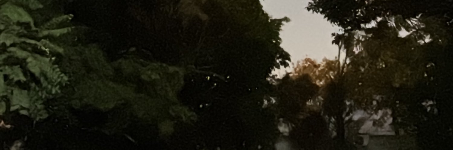 Solana banner