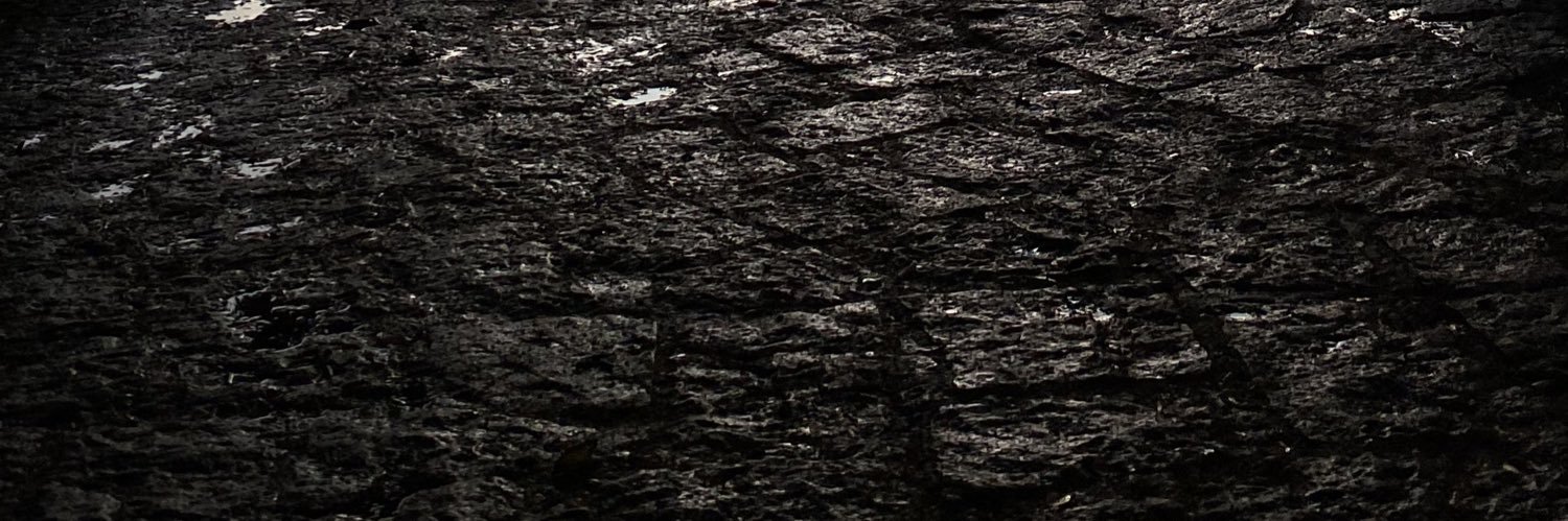 Ari banner