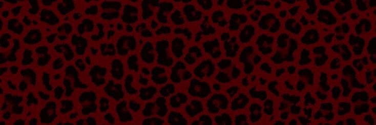 occultisca's profile banner image