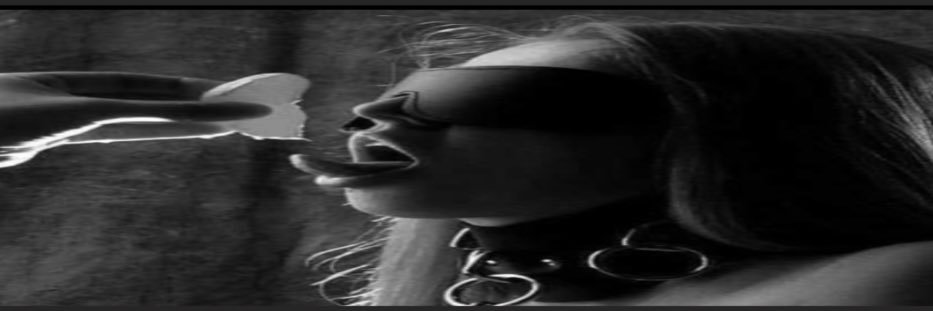 alzaem788's profile banner image