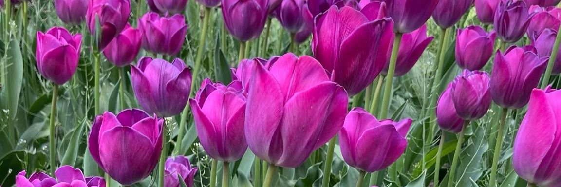 Beatriz_30_01's profile banner image
