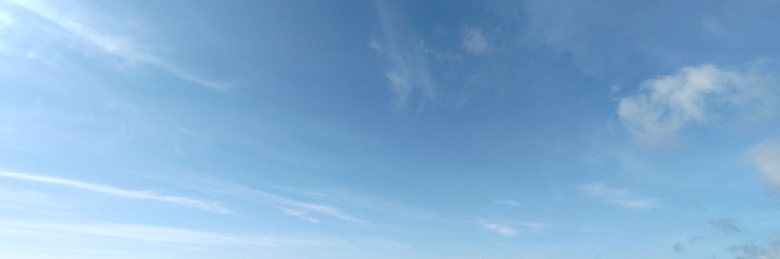 *うさまま banner