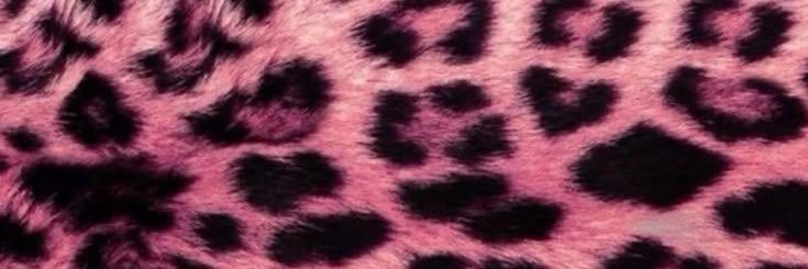 eubarbmonteiro's profile banner image