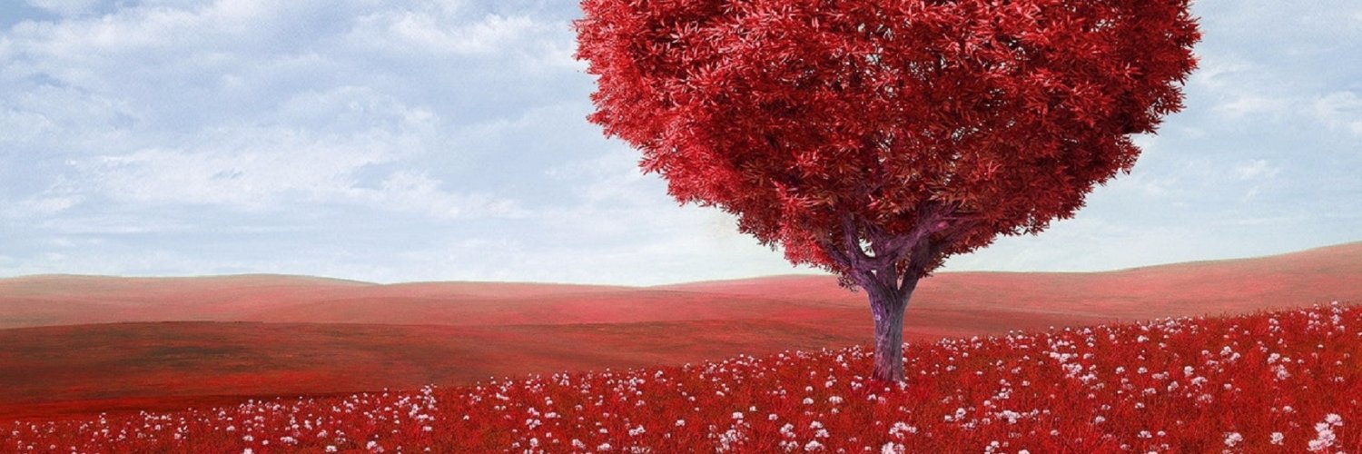 veganprincess's profile banner image