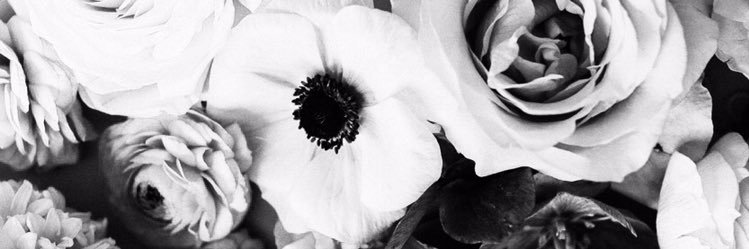KHopkinsAllen's profile banner image