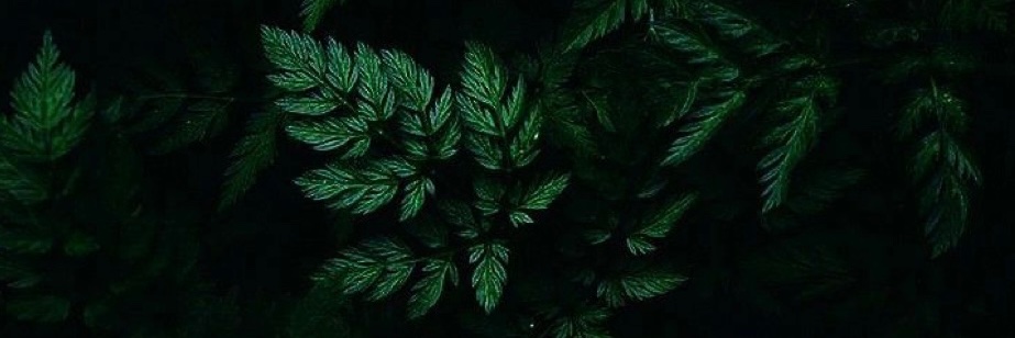 wright_lilleigh's profile banner image