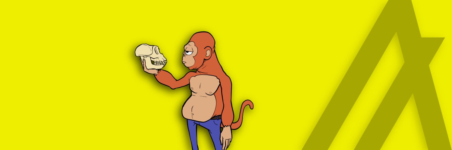 monko 🐝's banner