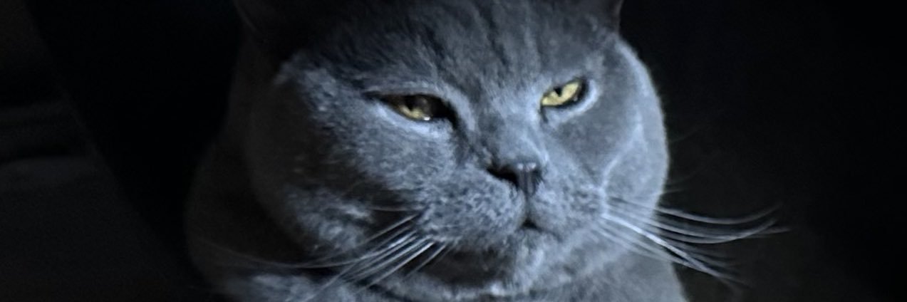 Trolgatron ☦️ banner