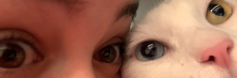 anaxtv18's profile banner image